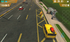 Dolmus Driver