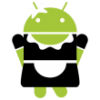 SD Maid Pro