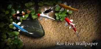 Koi Live Wallpaper