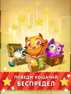 Котики