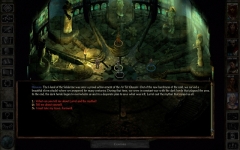 Icewind Dale Enhanced Edition
