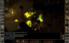 Icewind Dale Enhanced Edition
