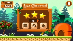 Rabbit Jungle Run