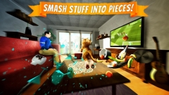 Cat Simulator