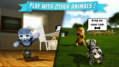 Cat Simulator