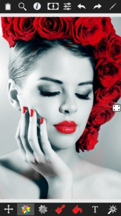 Color Splash Effect Pro