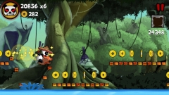 Panda Run