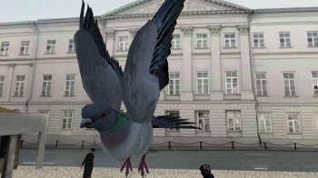 Симулятор голубя 3D